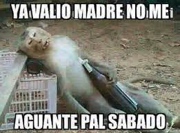 Jajaja Humor Gracioso Chistes Graciosos Memes Sarcasticos