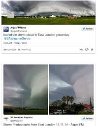 A suspected tornado has damaged homes, torn down garden walls and sent dustbins flying hundreds of metres through the air in east london. Water Grassroots