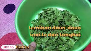 Cuci bersih daun pacar kuku lalu tempatkan pada wadah tadi dan tumbuk. Cara Buat Inai Youtube