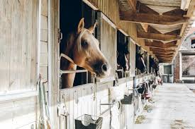 Furthermore, a few companies still build them. Horse Barn Pictures Download Free Images On Unsplash