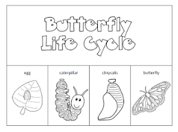 Set up a table outside and keep kids of all ages occupied with these spring pictures to color. Life Cycle Of A Butterfly Coloring Page Free Printable Coloring Pages Coloring Pages