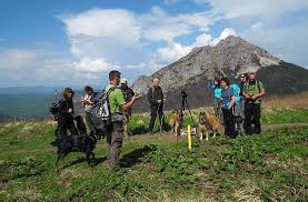 Das wandern in der slowakei kann also gleichermaßen anspruchsvoll oder auch entspannend sein. Hundewandern In Der Slowakei Hundewandern De