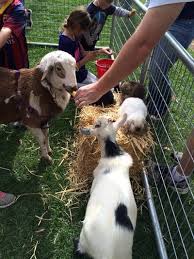 2 touchable animals rotated every 30 minutes. Oba Farms Mobile Petting Zoo Dallas Texas Mobile Petting Zoo Party Dallas Tx Farm Animal Petting Zoo Dallas Fort Worth Texas Farm Animals