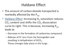 Haldane Effect Google Search Medical Science Dissociation Medicine
