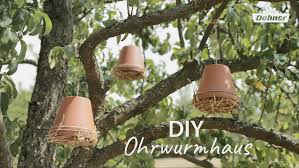 Do It Yourself Ohrwurmhaus Video Garten Steingarten Anlegen Ideen Steingarten Anlegen