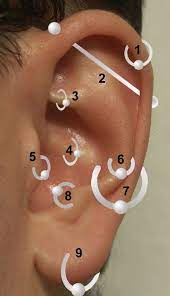 A Closer Look At Ear Piercings Different Ear Piercings Tragus Piercings Types Of Ear Piercings