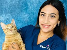 VCA Tanglewood Animal Hospital