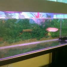 Tajuk hebat sdn bhd (thsb) is a corporate amalgamated expression of 50 years of combined experience, exposure and entrepreneurship of its founders in the professional engineering and business strategizing consultancy fields. Sentiasa Hebat Sdn Bhd 4 Tips From 31 Visitors