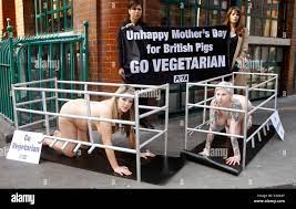 Two pregnant PETA members take part in the protest 'Naked pregnant women  vs. Jamie Oliver' in Mother's Day Pig-Crate appeal Stock Photo - Alamy