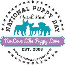 We did not find results for: National Puppy Day Home Facebook