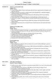 An example of marketing director resume. Sales Director Resume Samples Velvet Jobs