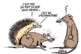 Dessin comique d'animaux amants - Du Rire : Humour, blague, vidéo, photo  comique ...