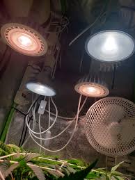 Choose from contactless same day delivery, drive up and more. Barney S Farm Glookies Grow Journal Week9 By Beangineer Growdiaries