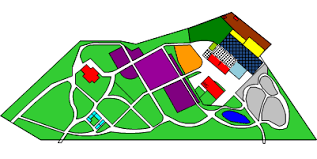 Image result for Marantochloa leucantha