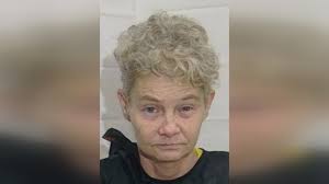 A Chadbourn woman has been arrested following a hit and run.