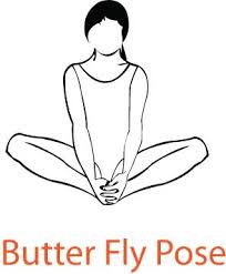 Butterfly pose is one of the most accessible forward folds in the yin yoga practice. Butterfly Pose Yoga Drawing Novocom Top