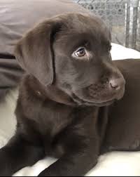 Find 71 listings related to mission memorial hospital in riverside on yp.com. Mission Park Pet Hospital 20 Photos 33 Reviews Veterinarians 27672 Crown Valley Pkwy Mission Viejo Ca United States Phone Number
