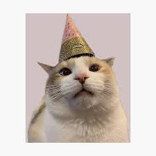 We did not find results for: Decoracion Gato Meme Feliz Cumplea C3 B1os Redbubble