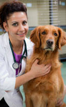 Maybe you would like to learn more about one of these? The Cost Of Cherry Eye Surgery