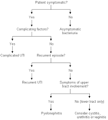 Urinary Tract Infections In Adults American Family Physician