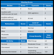 Image result for Croup Score