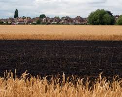 From grey water to cool spaces: 10 climate crisis policies Britain needs right now — The Guardian