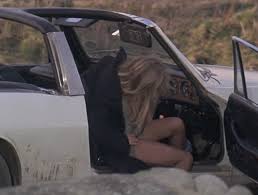 Straw dogs is a 1971 psychological thriller film directed by sam peckinpah and starring dustin hoffman and susan george. Cats In The Movies