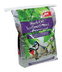 Ace Black Oil Sunflower Songbird Black Oil Sunflower Wild Bird Food Black Oil Sunflower Seed 40 Black Oil Sunflower Seeds Black Oil Wild Bird Food