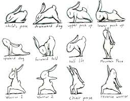 See dog drawing outline simple stock video clips. Simple Yoga Poses Quotes Quotesgram