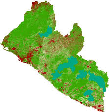 Image result for Pleioceras gilletii