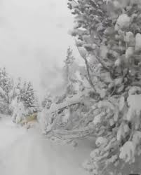 Bulletin meteo, prévision à 15 jours, alerte meteo, meteo locale, la meteo des neiges, la meteo des plages. Coronavirus L Andorre Prise De Vertige Avant L Hiver De Toutes Les Incertitudes Lindependant Fr