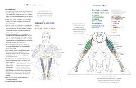 In addition to muscles, we have joints between our bones to do things like moving our arm up and down, and turning our head. Staggering Free Anatomy Coloring Book Pdf Axialentertainment