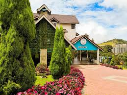 Pilihan best hotel di cameron highland (senarai ringkas). Dear Dino Villa Cameron Highlands Guest House Deals Photos Reviews