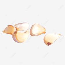 Bawang putih (allium sativum) merupakan sejenis tumbuhan dari genus bawang sama seperti bawang besar, bawang merah, bawang perai, ￼dan kucai. Gambar Lima Ulas Bawang Putih Yang Tersebar Lima Biji Penyebaran Bawang Putih Png Dan Clipart Untuk Muat Turun Percuma