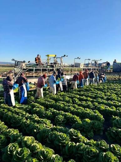 Equipo de trabajo en el campo