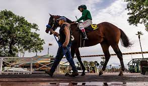 Horse racing nation free past performances. Study Up Free Past Performances Horse Racing Nation Facebook