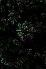You can also upload and share your favorite black aesthetic iphone 11 wallpapers. 60 Aesthetic Dark Wallpapers For Iphone That Set The Mood