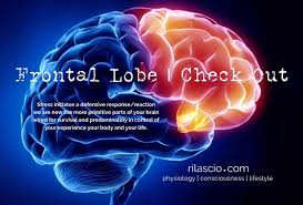 Image result for Frontal Lobe