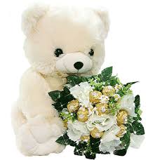 What To Carry When Meeting A Girl For Match Making Cute Teddy Bears Teddy Day Teddy Bear Stuffed Animal