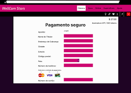 Entre o antropológico e o porno-erótico: notas etnográficas de uma  antropóloga-camgirl sobre trabalho sexual plataformizado