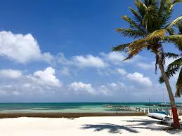 Caye caulker belize is a beautiful mangrove island, a water taxi away from belize city. Caye Caulker Belize Tips For A Chill Vacay One Girl Whole World
