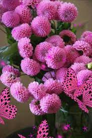 Mis Creaciones 2018 Emojis Beautiful Flowers Beautiful Pink Flowers Amazing Flowers