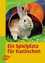 Ein Spielplatz Fur Kaninchen In 2020 Spielplatz Kaninchen Spielplatz Kaninchen