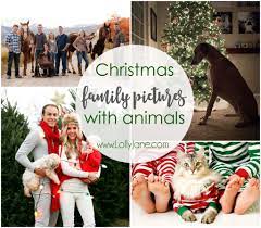 See more ideas about christmas pictures, christmas dog, dog christmas pictures. Christmas Family Pictures With Animals Lolly Jane