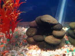 Aquarium natural polished decorative 15. Diy Aquarium Rock Decorations