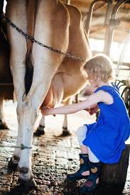 Tommerup S Farmstay Farm Stay Near Brisbane And Gold Coast Queensland Australia Farm Activit Australia Tourism Australia Vacation Australian Capital Territory