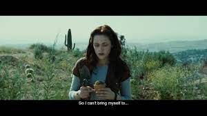 5 / 5 19 мнений. Noor On Twitter Im Watching Twilight For The First Time Ever And The First Shot Of Bella Is Her Holding A Mini Cactus And A Mini Shovel In Her Hand Like I