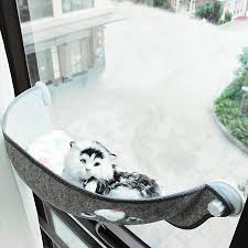 Sneaking over, she grabbed kitty by the arms and oh, just making a new hammock to replace the one you damaged! nala smiled, stretching kitty. Cat Pet Window Bed Cat Window Perch Cat Hammock Window Seat Rest Bed Ebay
