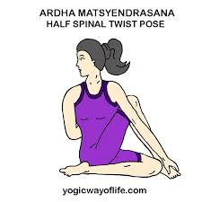 Ardha Matsyendrasana The Half Spinal Twist Pose Yoga Twist Poses Asana Yoga Poses