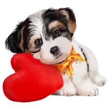 Pin By Cyndia Olliver On Animal Art Puppy Art Animals Cute Dogs